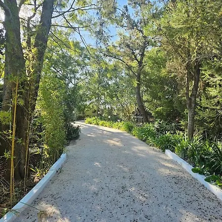 Casa Seahorses B * 신트라