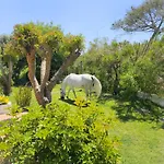 Casa Seahorses B Sintra