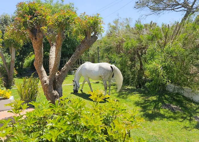 Casa Seahorses B סינטרה